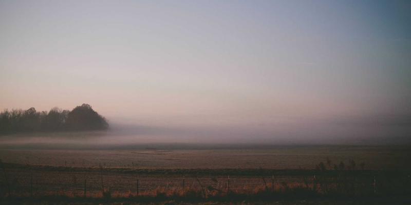 从概念到织物：飞鱼艺术在高端纺织品图案设计中的3D艺术革命与作品展示