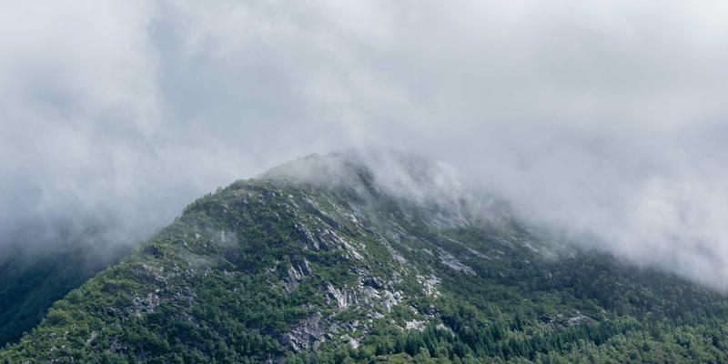 从神话到元宇宙：飞鱼艺术的历史起源与文化背景探析