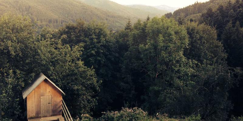 当3D艺术遇见空气动力学：飞鱼仿生概念设计的跨界革命