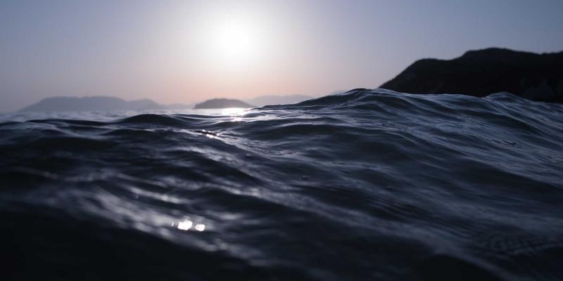 当插画、3D艺术与数字艺术跨界：飞鱼如何成为海洋生态保护的视觉使者