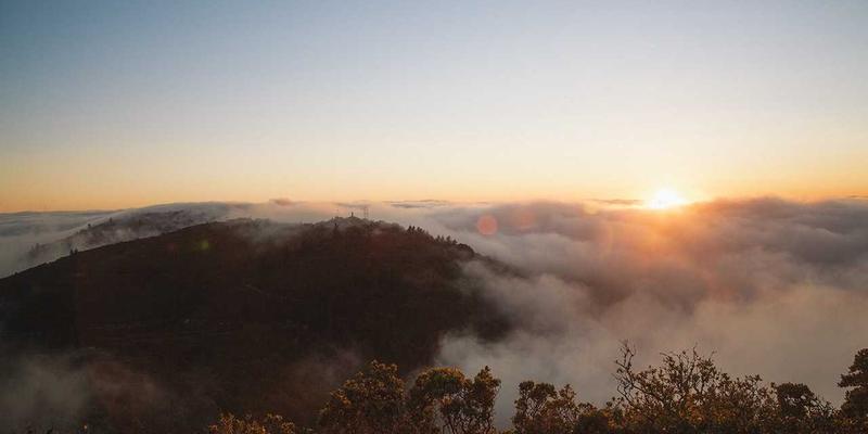 当插画跃出平面：基于AR技术的飞鱼艺术互动展陈设计研究