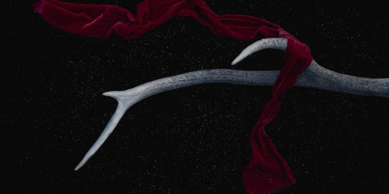 数字艺术创作新范式：可持续设计理念下的飞鱼艺术与环保插画