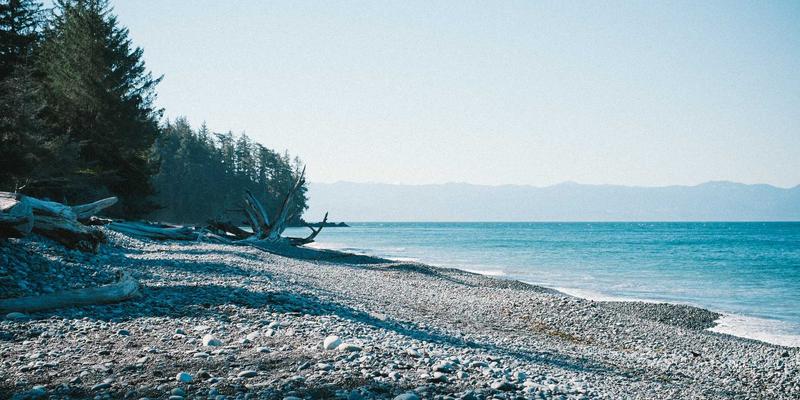 飞鱼入海，灵感破浪：仿生学在产品概念设计与数字艺术中的创新实践