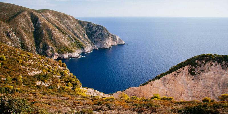 飞鱼艺术29:数字插画新浪潮下的作品展示与美学探索