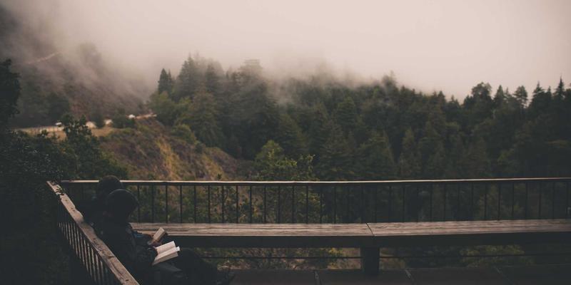 飞鱼艺术66:在插画与艺术创作中遨游的灵感之海