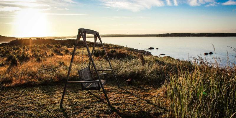 飞鱼艺术6：数字艺术与概念设计的未来之境