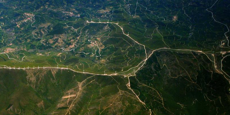 飞鱼艺术75:在3D艺术与插画的边界,探索数字美学的无限可能