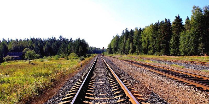 飞鱼艺术79：当概念设计跃入三维宇宙，一场颠覆想象的作品展示