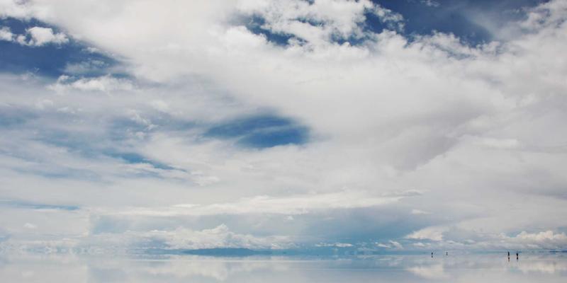 飞鱼艺术91：当插画创作跃出纸面，驶向艺术深海