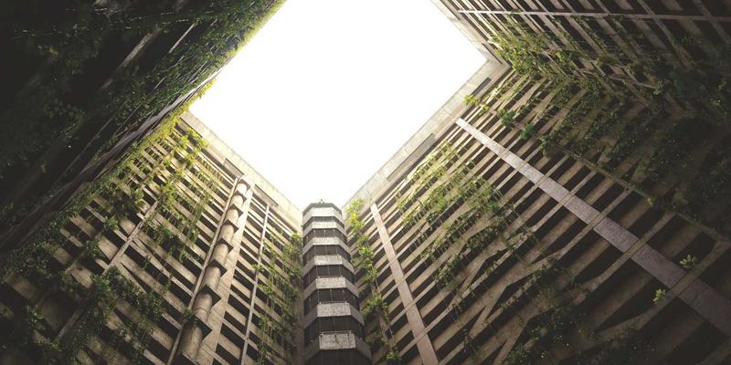 飞鱼艺术97：在3D艺术与插画的交汇处，探索数字创作的无限可能