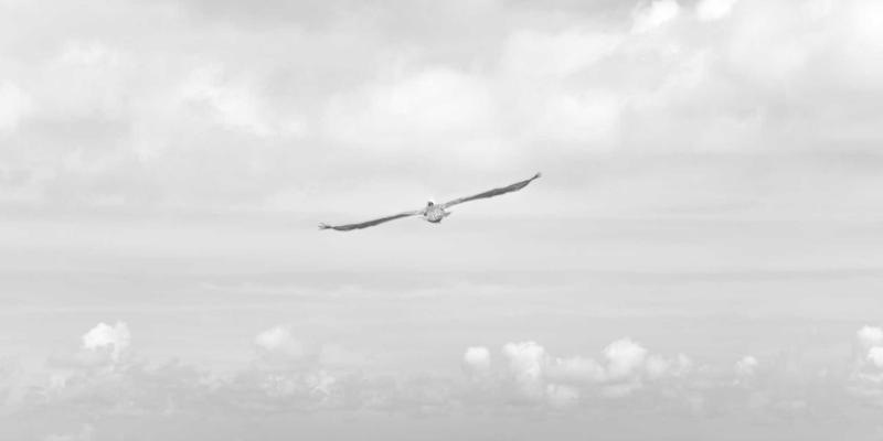 飞鱼艺术与废墟美学：3D概念设计中的后人类叙事