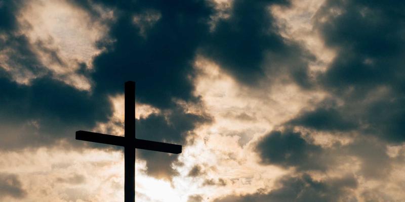 飞鱼艺术与赛博朋克美学：生物可降解材料如何重塑数字艺术创作