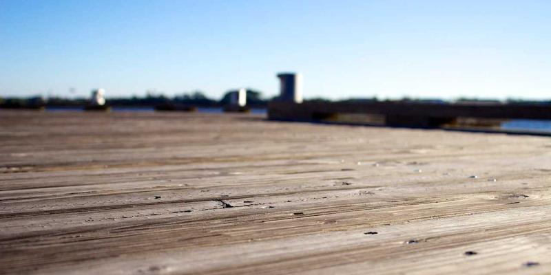 飞鱼艺术全攻略：从传统到数字的艺术创作新浪潮