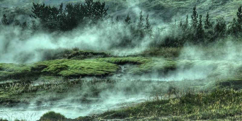 飞鱼艺术：数字艺术与赛博朋克美学的衍生品设计与市场蓝海