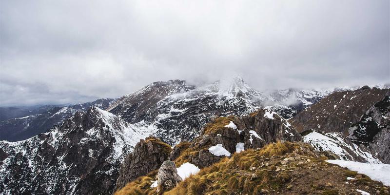 飞鱼艺术：科幻影视概念设计中生物机械美学的世界观构建与作品展示