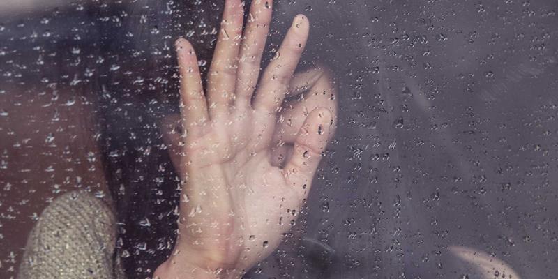 飞鱼艺术进阶：从创作灵感到作品展示的完整旅程